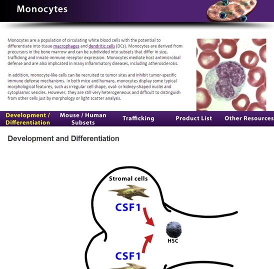 單核細(xì)胞知識版塊